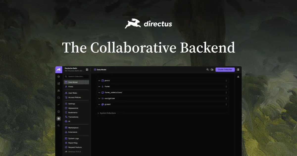 Directus product image